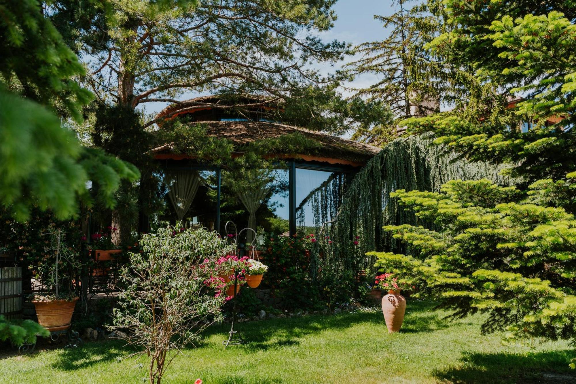 Vinska Kuca Kovacevic Bed & Breakfast Irig Exterior photo